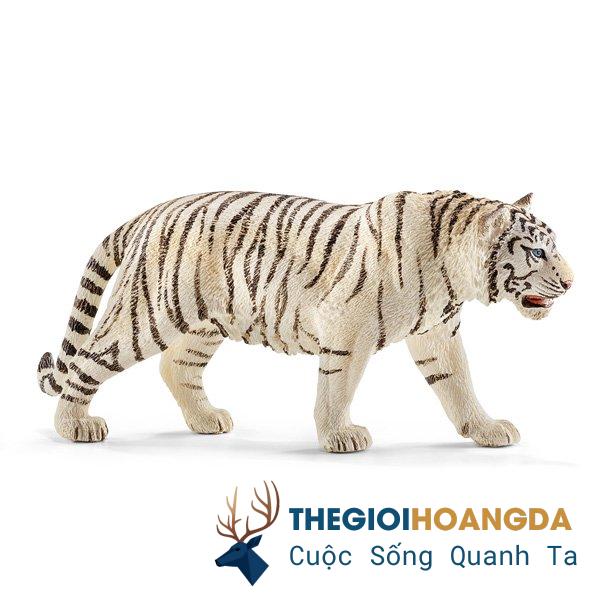 Hổ trắng - Di sản kỳ diệu giữa lòng Thảo Cầm Viên Sài Gòn